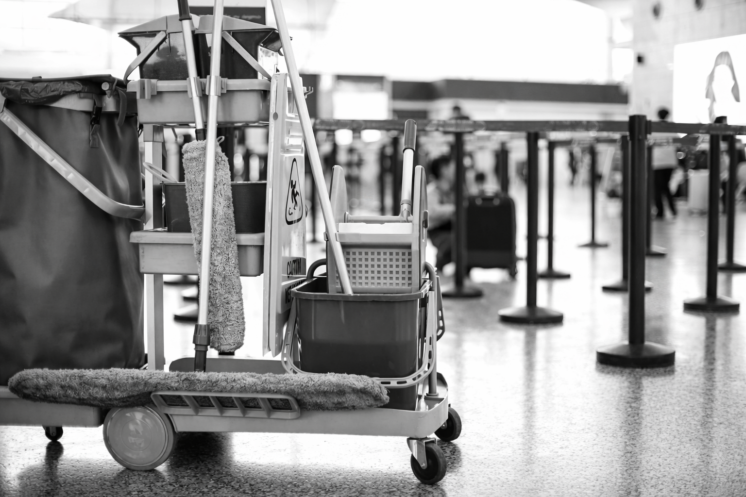 ChatGPT Image Feb 12, 2026, 03_25_53 AM